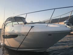 2017 Sea Ray Sundancer 370 "Reely Ours" photo 5