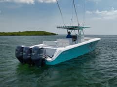2013 Bahama "Baby Blues" photo 8