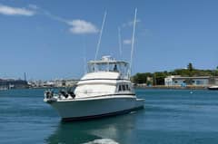 1995 Bertram 60 Convertible "Taniamar" photo 6