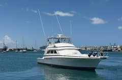 1995 Bertram 60 Convertible "Taniamar" photo 5
