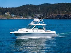2019 Boston Whaler 345 Conquest "BARB" photo 1