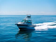 2019 Boston Whaler 345 Conquest "BARB" photo 4