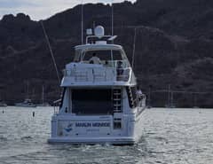 2001 Carver 570 Voyager Pilothouse "Marlin Monroe" photo 4