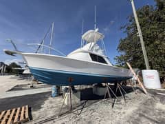 1977 Bertram 31 Flybridge "Mo-Mo I" photo 3