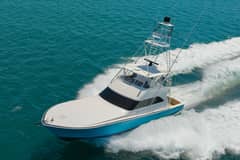 2006 Viking Convertible "FISHY BUSINESS II" photo 8