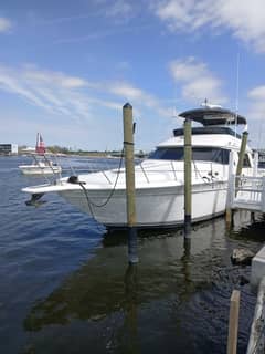 1997 Sea Ray 550 Sedan Bridge photo 4