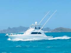 1988 Bertram 54' photo 6