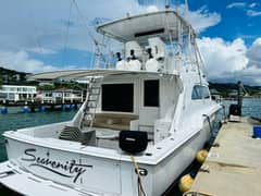 1988 Bertram 54' photo 8