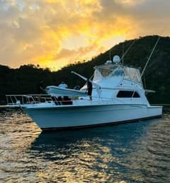 1988 Bertram 54' photo 7