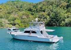 1988 Bertram 54' photo 5
