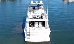 1993 Viking 50 Motor Yacht "Norah Faye" photo 9