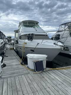 2003 Carver 466 Motor Yacht photo 1