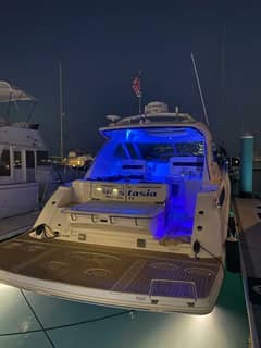 2010 Sea Ray 450 Sundancer photo 3