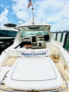 2010 Sea Ray 450 Sundancer photo 6