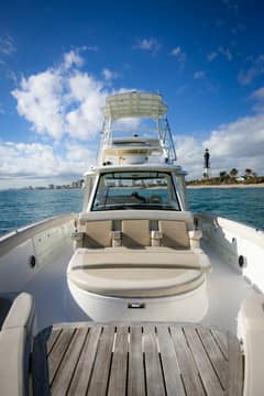 2017 Boston Whaler photo 4