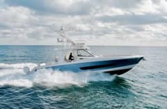 2017 Boston Whaler photo 2