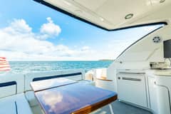 2009 Sea Ray 47 Sundancer photo 7