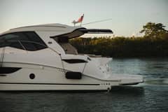 2019 Sea Ray Sundancer Coupe photo 8