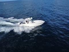 2017 SeaVee 340Z photo 9