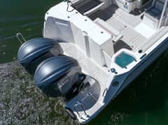 2026 Solara 310 CW photo 6