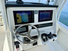 2021 World Cat 295 CC photo 2