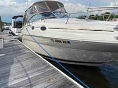 2002 Sea Ray 240 Sundancer "BAMA" photo 7
