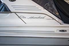2002 SEA RAY "580 SUPER SUN SPORT" photo 4
