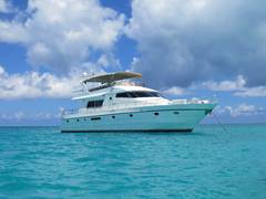1994 VITECH Motor Yacht "SANITY" photo 2