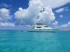 1994 VITECH Motor Yacht "SANITY" photo 5