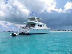 1994 VITECH Motor Yacht "SANITY" photo 9