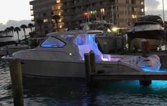 2020 PURSUIT BOATS 355 "NEW LISTING" photo 2