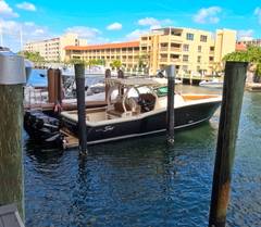 2018 SCOUT BOATS 380 LXF "-" photo 2