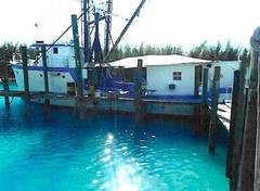 1980 SAINT AUGUSTINE Commercial Trawler "1980 ST. AUGUSTINE 78 TRAWLER" photo 7