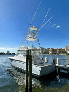 2006 BUDDY DAVIS 52 Sport Express Fish "2006 BUDDY DAVIS 52 SPORT EXPRESS FISH" photo 1