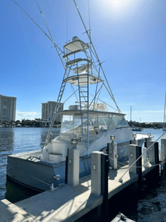 2006 BUDDY DAVIS 52 Sport Express Fish "2006 BUDDY DAVIS 52 SPORT EXPRESS FISH" photo 2