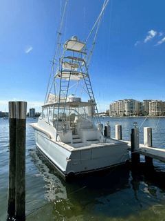2006 BUDDY DAVIS 52 Sport Express Fish "2006 BUDDY DAVIS 52 SPORT EXPRESS FISH" photo 5