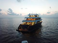 2017 CUSTOM 142  LUXURY SAFARI YACHT "2017 SAFARI YACHT 142 CUSTOM" photo 6