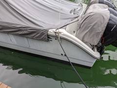 2019 INVINCIBLE 40 Catamaran "-" photo 5