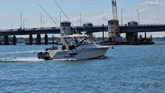2016 GRADY-WHITE Express 330 "2016 GRADY-WHITE EXPRESS 330" photo 9