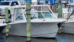 2019 SAILFISH 325 DC "2019 SAILFISH 325 DC" photo 2