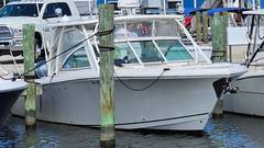 2019 SAILFISH 325 DC "2019 SAILFISH 325 DC" photo 3