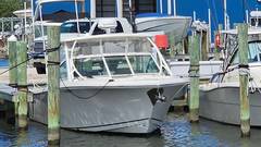 2019 SAILFISH 325 DC "2019 SAILFISH 325 DC" photo 4