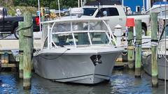 2019 SAILFISH 325 DC "2019 SAILFISH 325 DC" photo 5