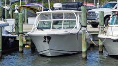2019 SAILFISH 325 DC "2019 SAILFISH 325 DC" photo 6