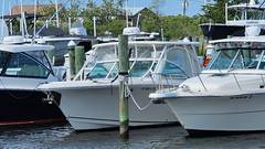2019 SAILFISH 325 DC "2019 SAILFISH 325 DC" photo 7
