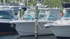 2019 SAILFISH 325 DC "2019 SAILFISH 325 DC" photo 8