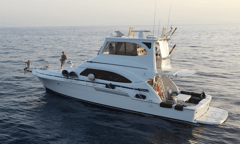 2004 BERTRAM Bertram 510 "ORQUI" photo 2