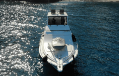 2004 BERTRAM Bertram 510 "ORQUI" photo 3