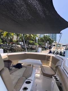2019 SAILFISH "ANDIAMO" photo 5