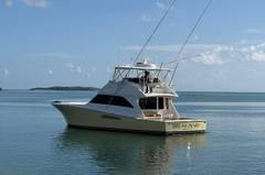 2004 VIKING 56 Convertible "BREAKAWAY" photo 9